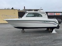 Finnmaster 6101 Cruiser