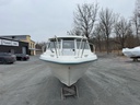 Finnmaster 6101 Cruiser