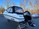 Flipper 640 ST + Mercury F150