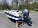 Yamarin 5010 + Yamaha F60