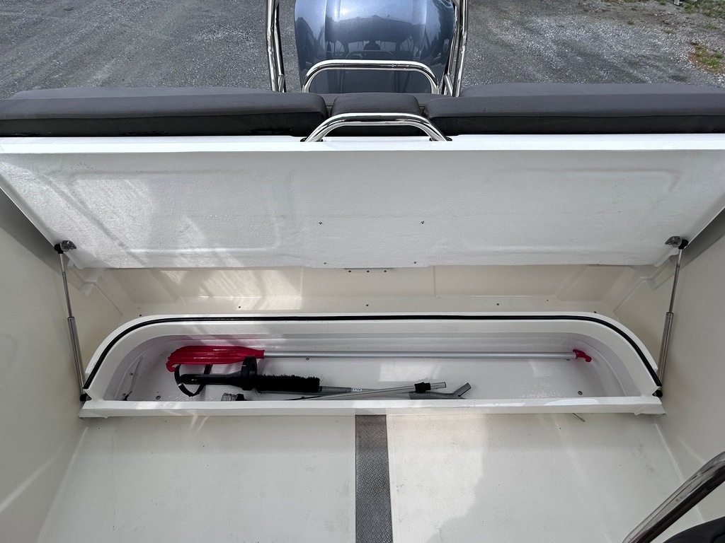 Buster Magnum E + Yamaha F225