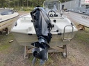 Silver Colibri 405 + Evinrude 25