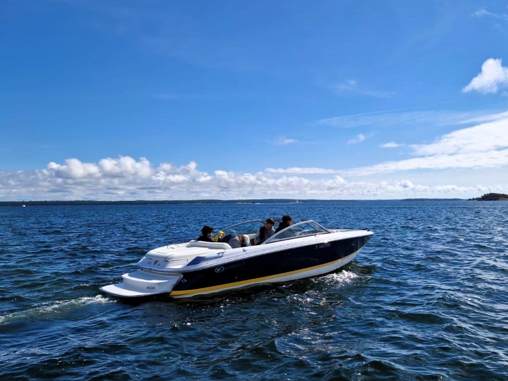 Cobalt + Volvo Penta 5,0